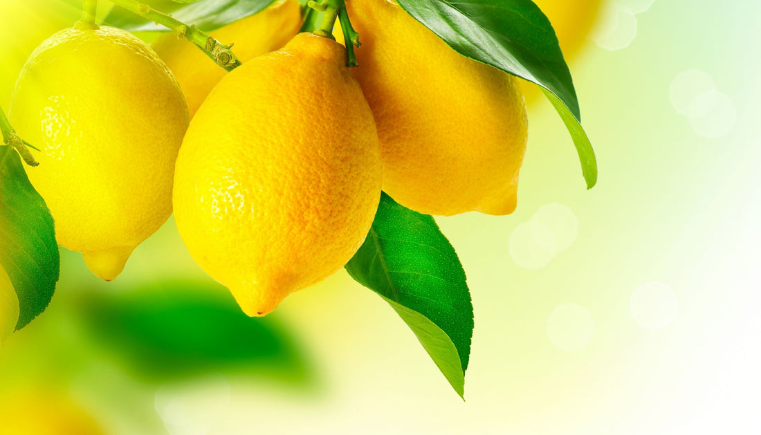 Le citron : un petit fruit plein de peps pour ta santé! 🍋