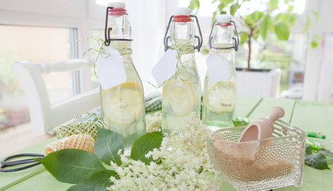 Les limonades fermentées dans le monde