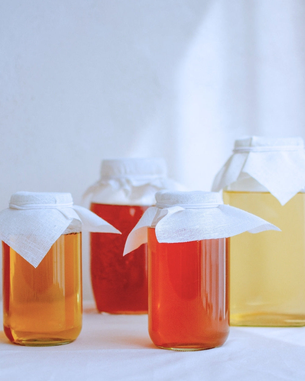 Limonade fermentée, kombucha, kéfir ou ginger beer : quelles différences ?