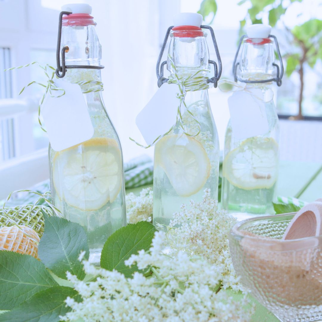 Les limonades fermentées dans le monde