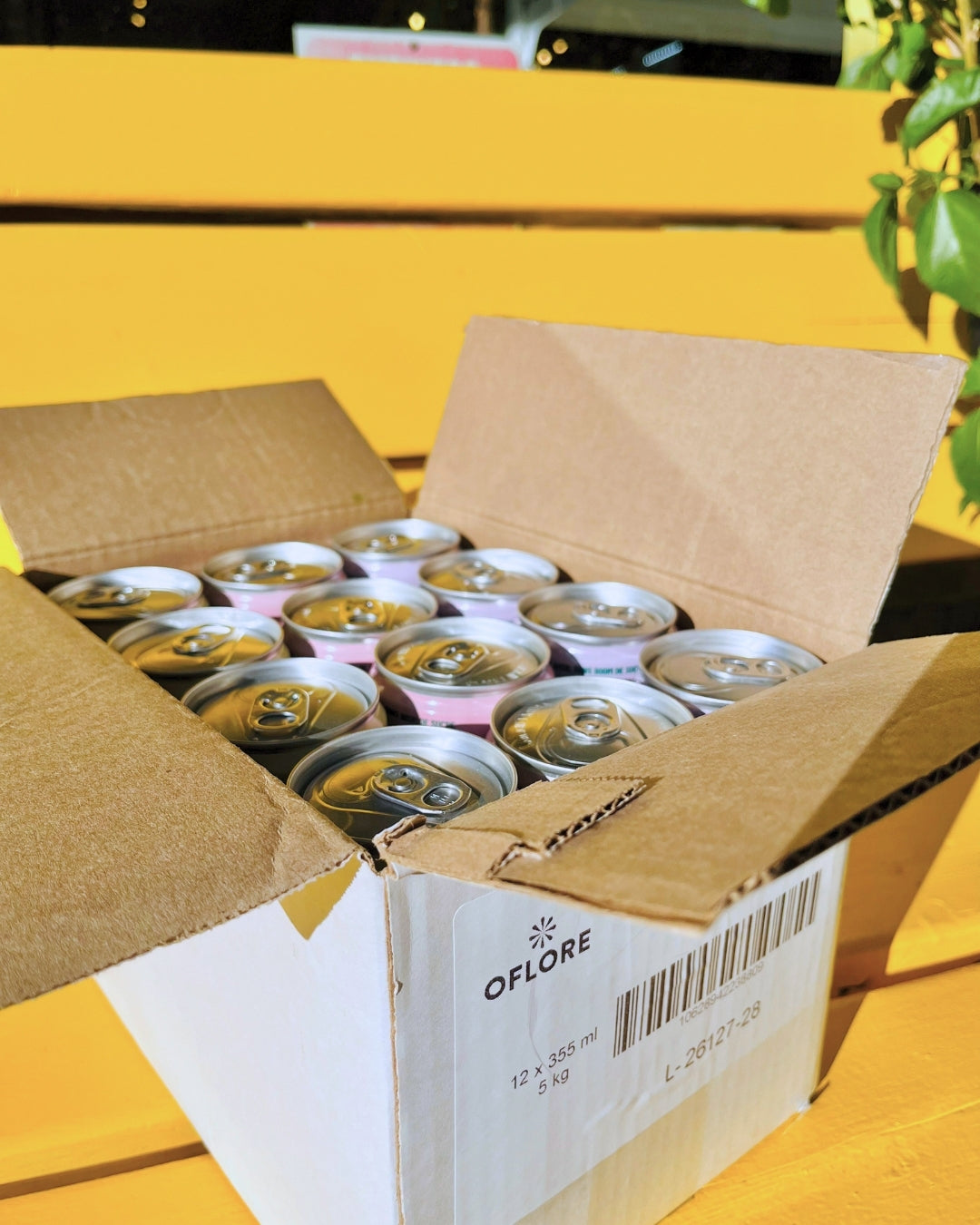 Boîte découverte OFLORE® — Citron, Hibiscus & Lavande | Pack de 12