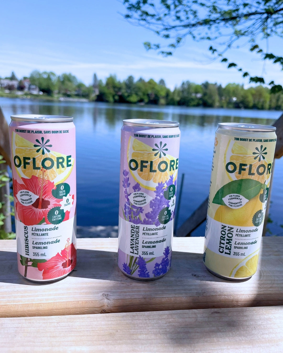 Boîte découverte OFLORE® — Citron, Hibiscus & Lavande | Pack de 12