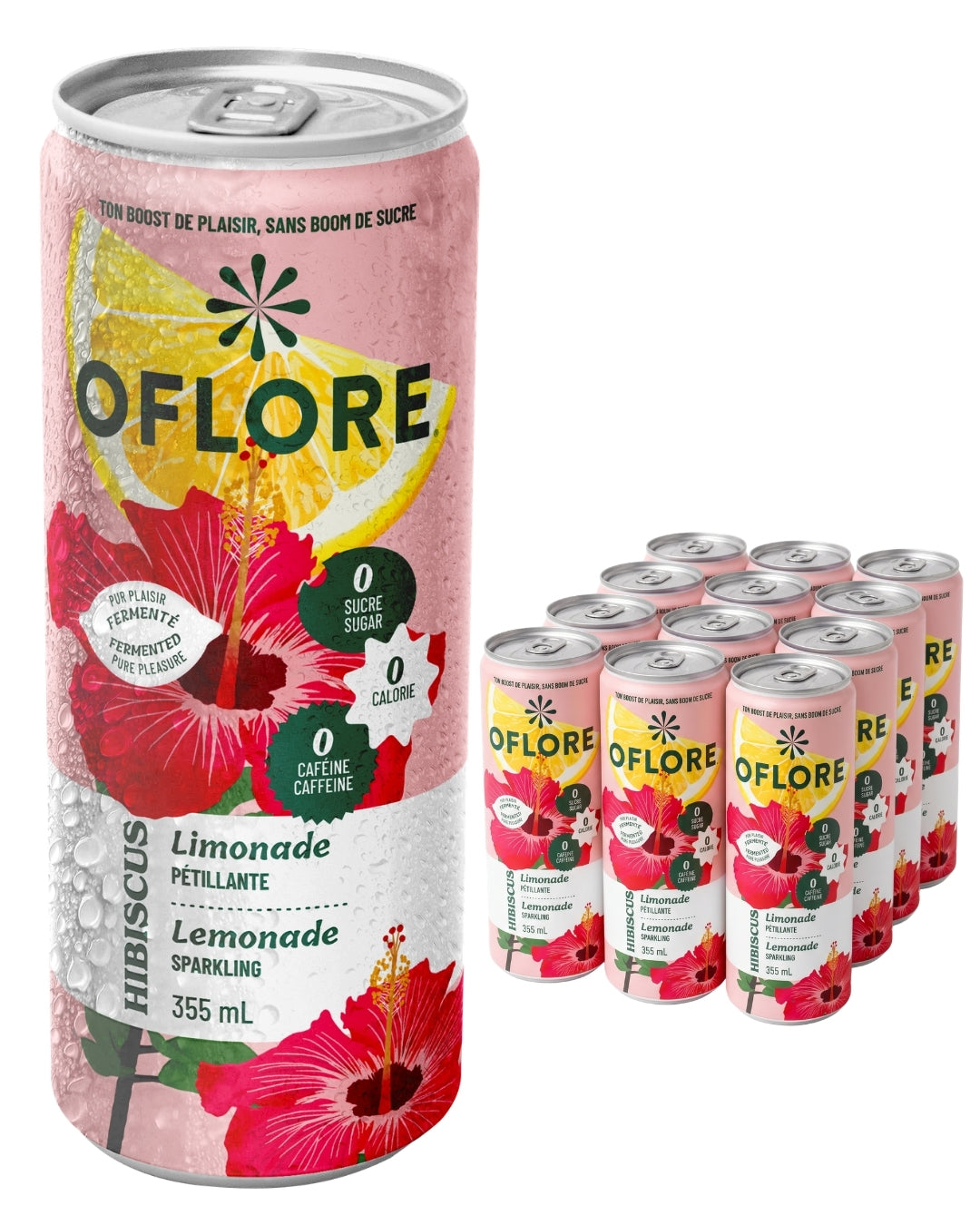 OFLORE Hibiscus | Pack de 12
